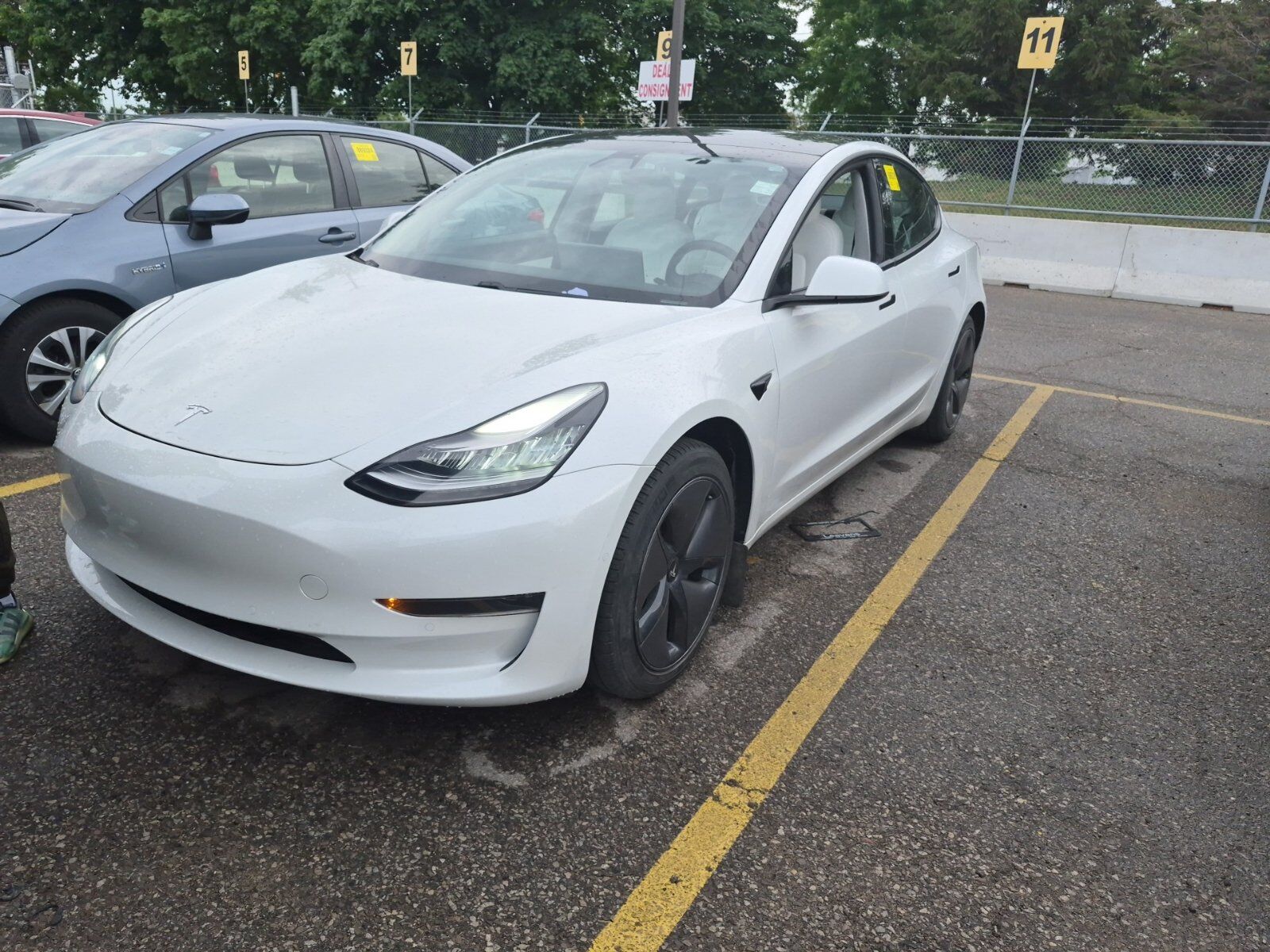 2021 TESLA Model 3