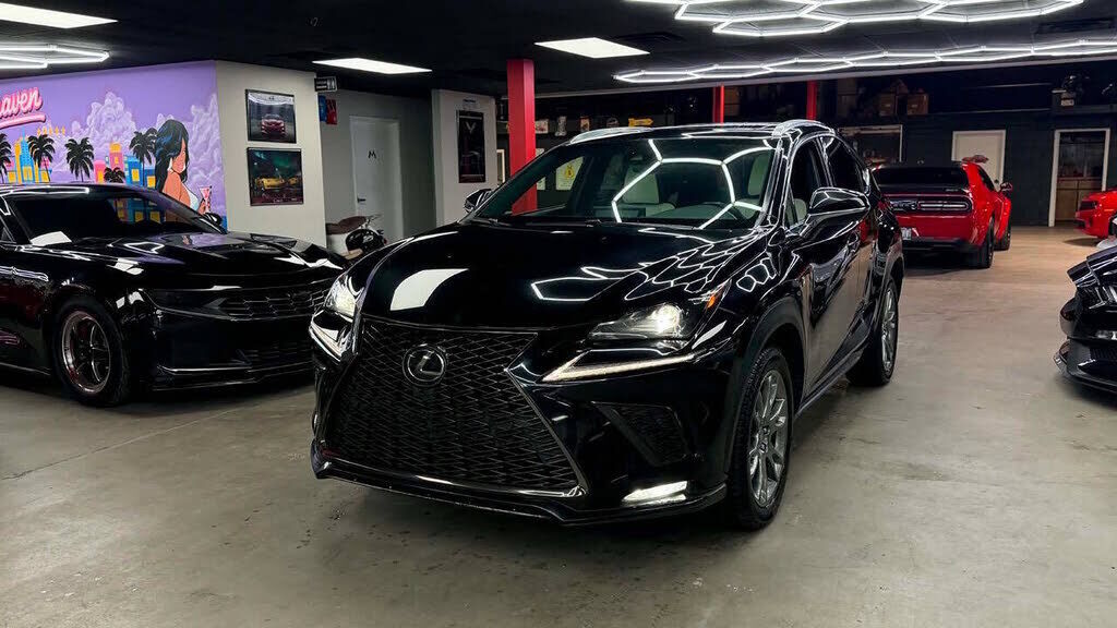 2019 LEXUS NX