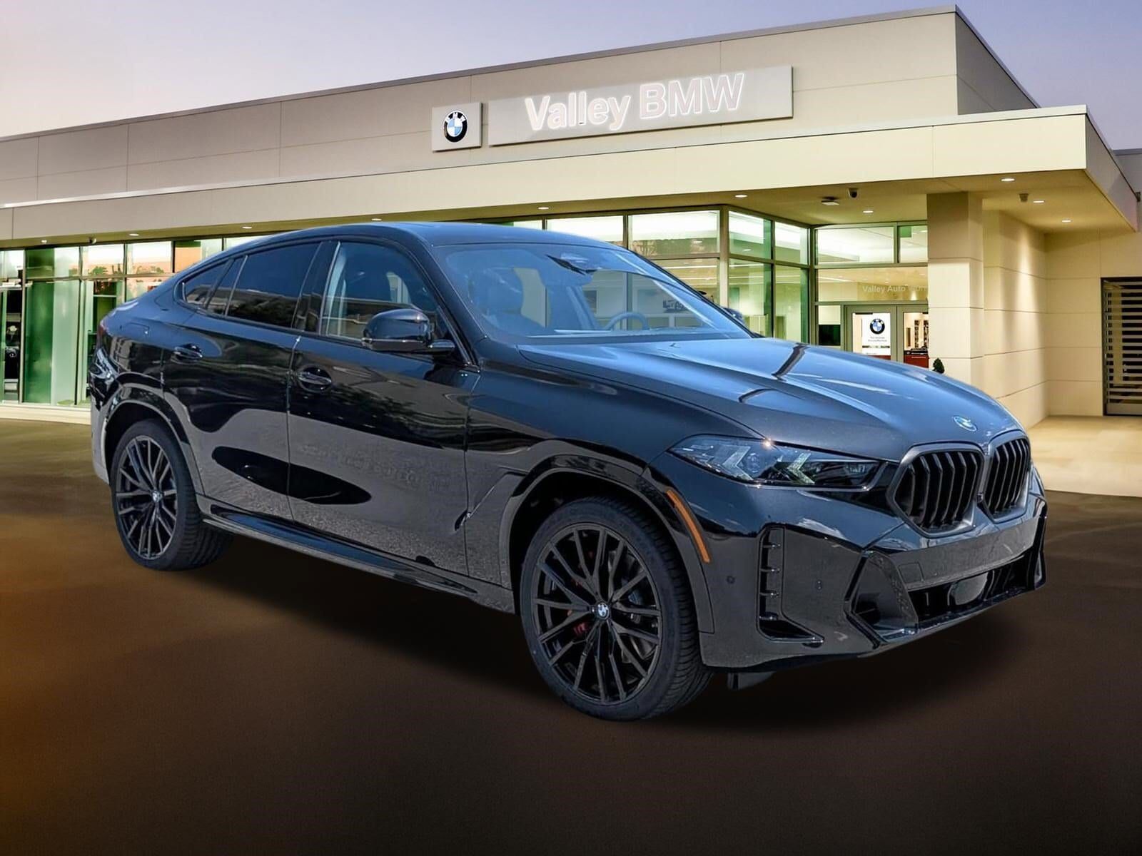 2027 BMW X6
