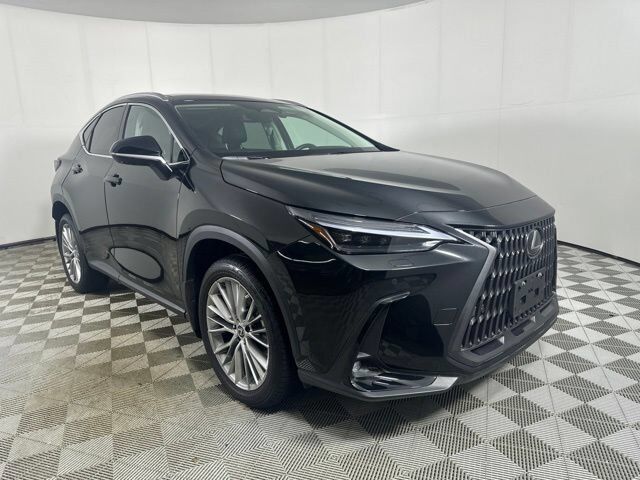 2024 LEXUS NX