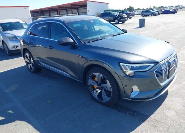 2019 AUDI e-tron
