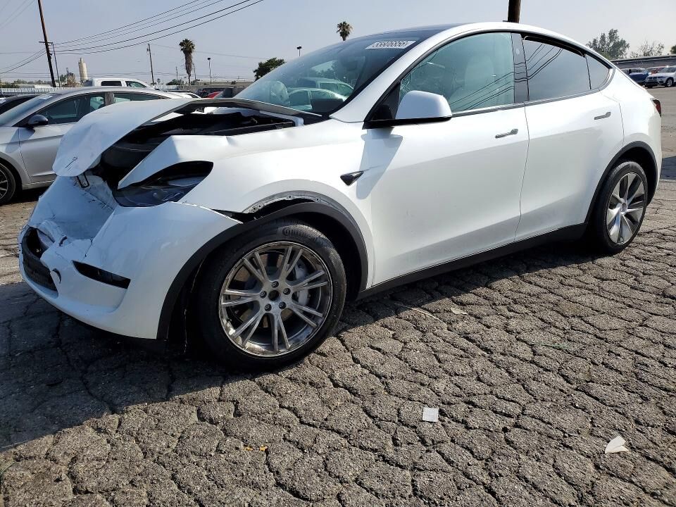 2023 TESLA Model Y