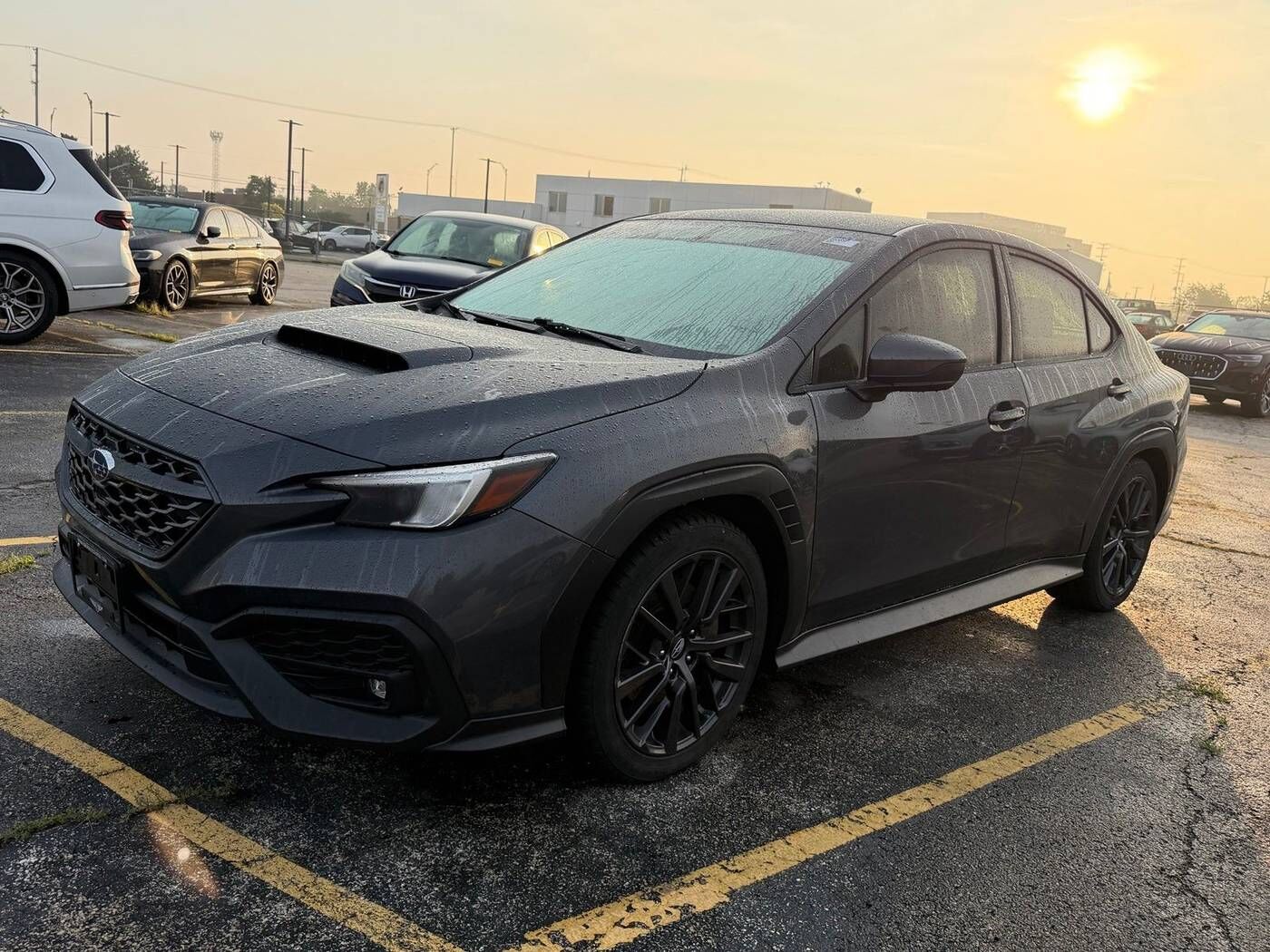 2023 SUBARU WRX