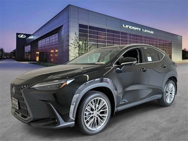 2025 LEXUS NX