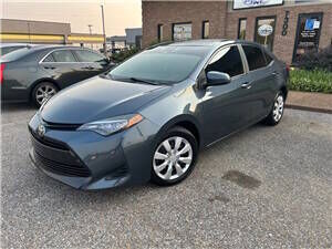 2019 TOYOTA Corolla