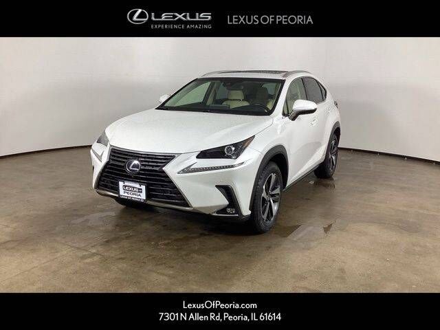 2019 LEXUS NX