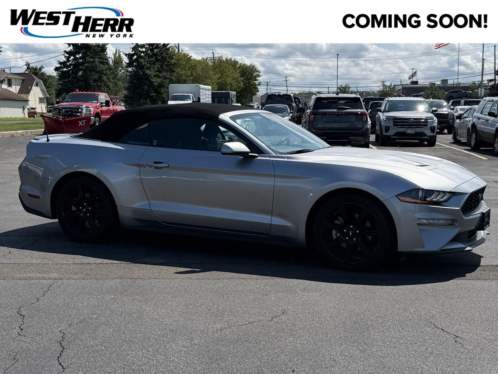 2020 FORD Mustang