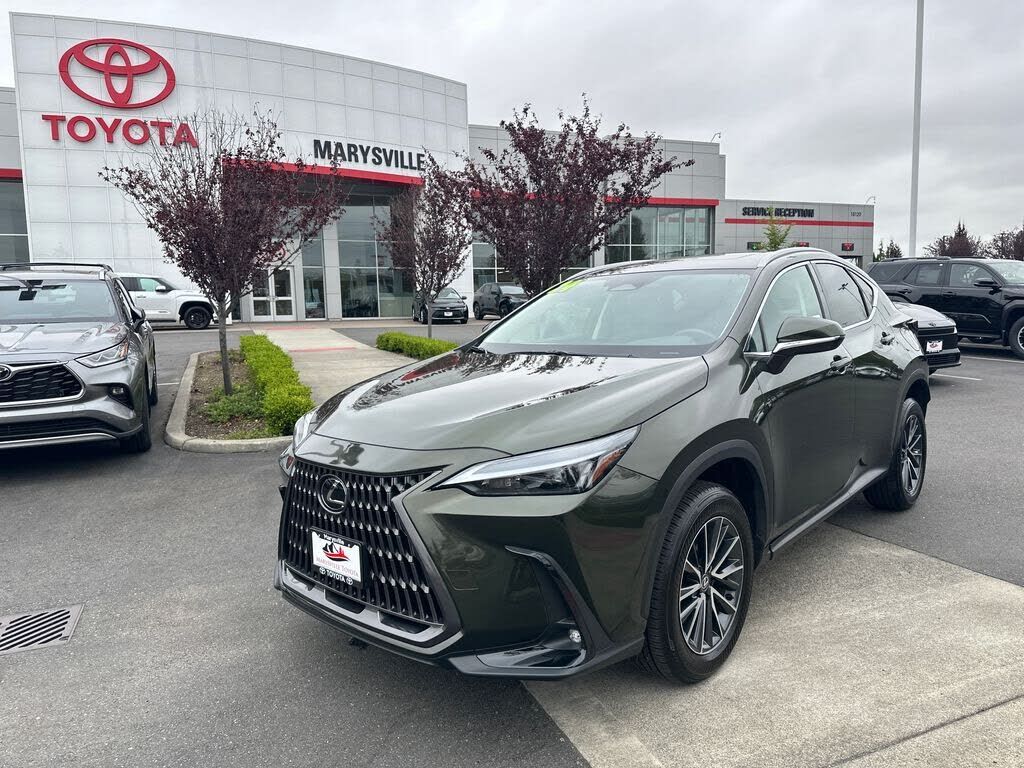 2024 LEXUS NX