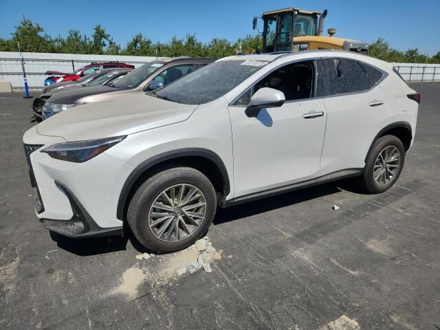 2025 LEXUS NX