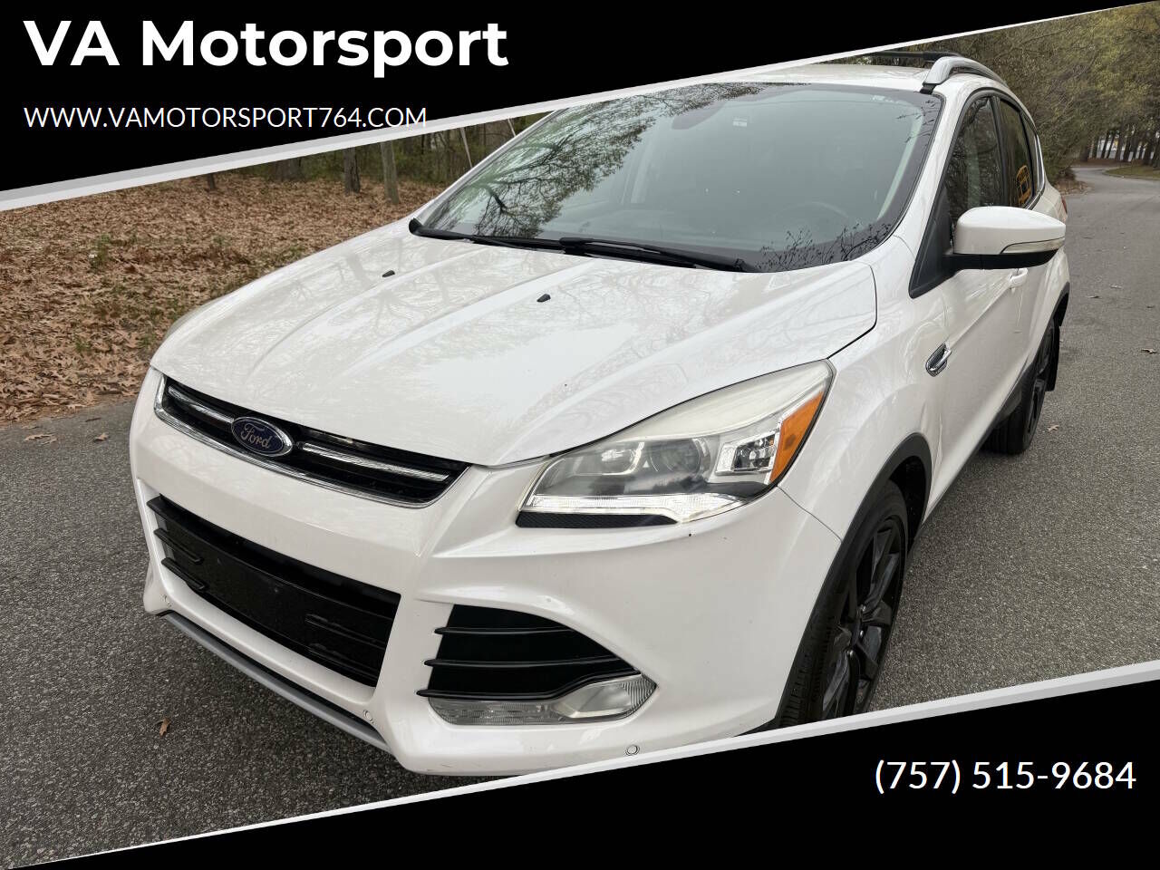2014 FORD Escape
