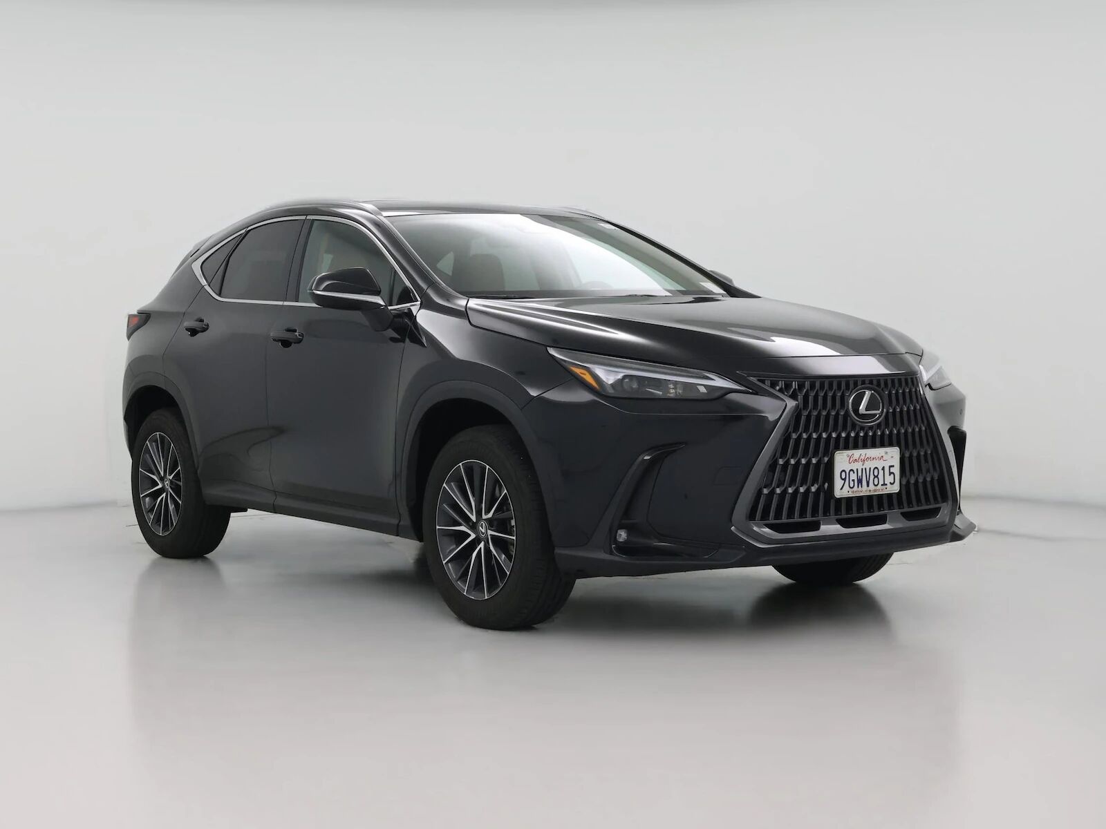 2024 LEXUS NX