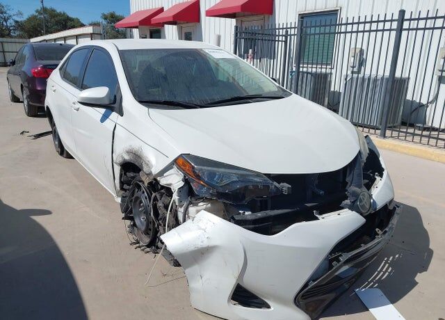 2019 TOYOTA Corolla