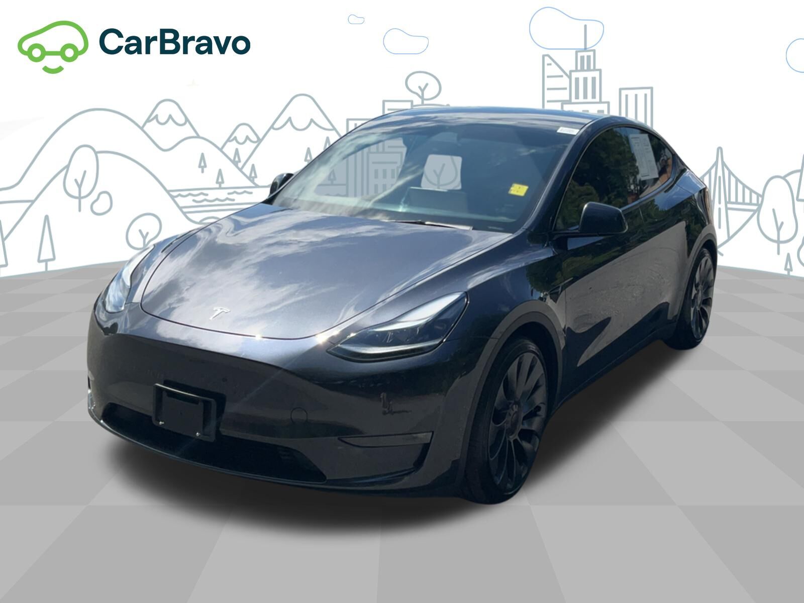 2025 TESLA Model Y