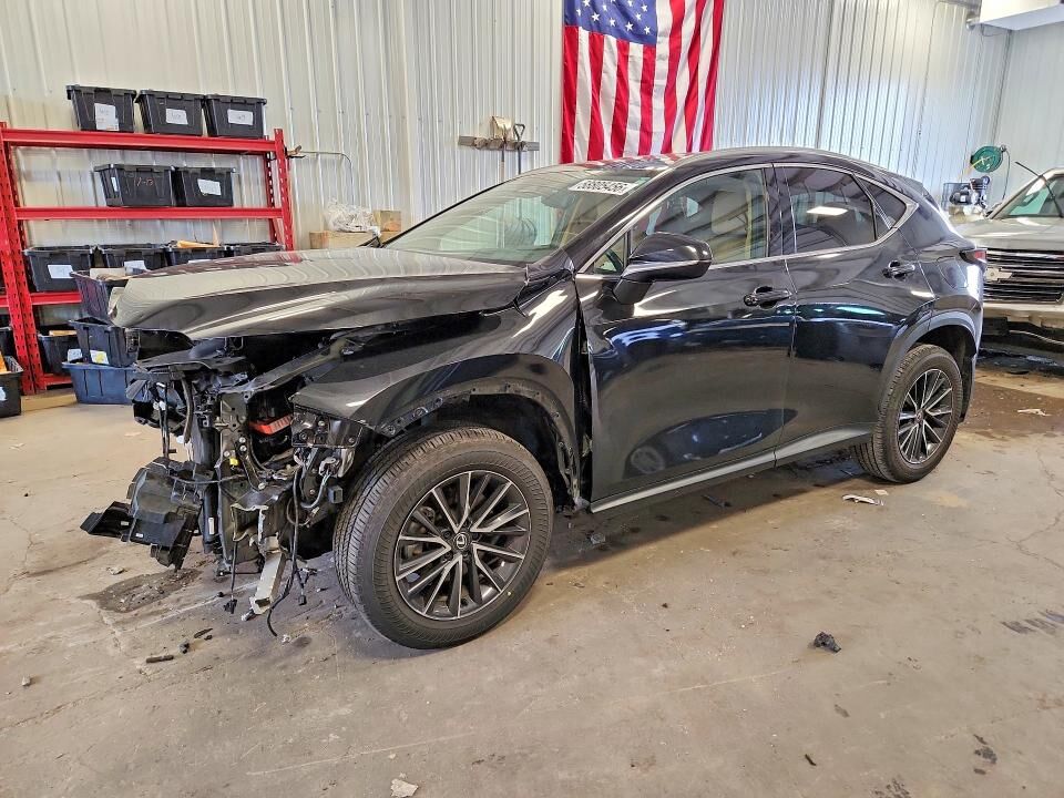 2024 LEXUS NX