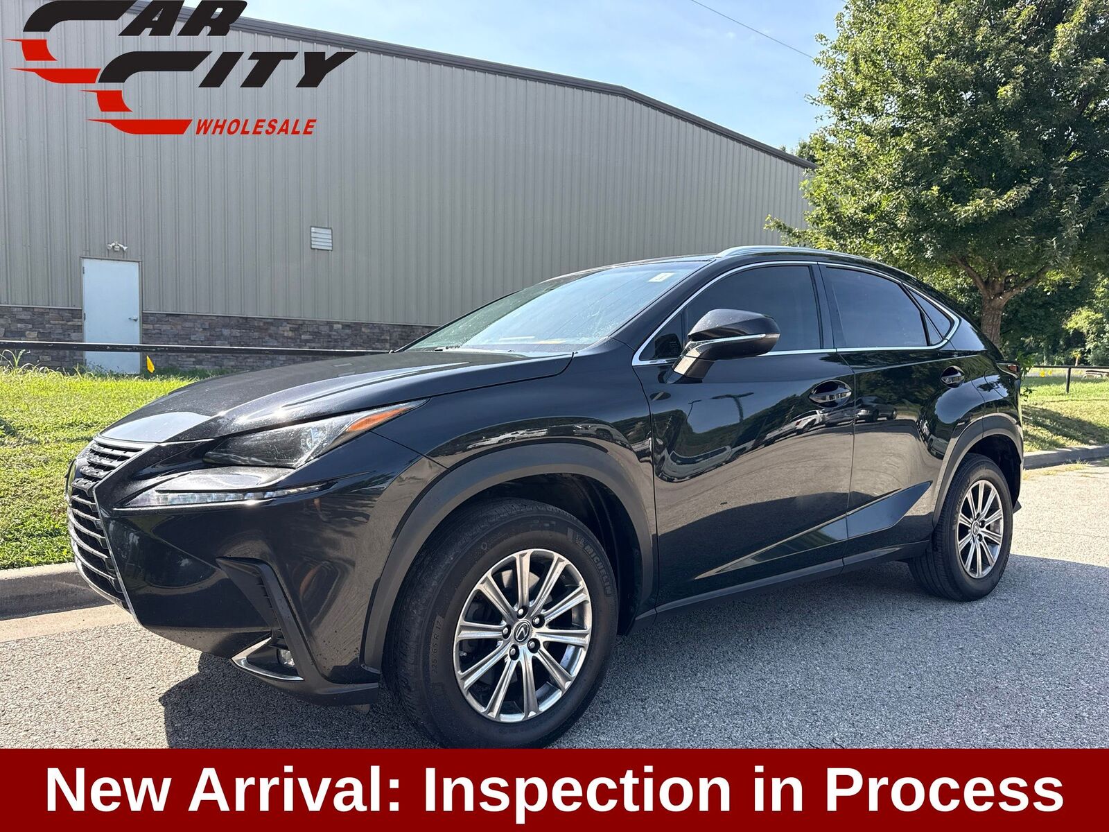 2019 LEXUS NX
