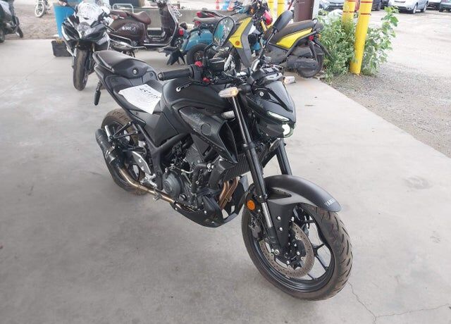 2025 YAMAHA MTN320