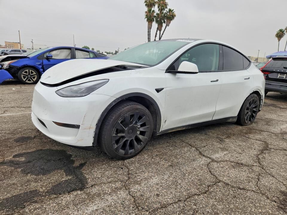 2024 TESLA Model Y