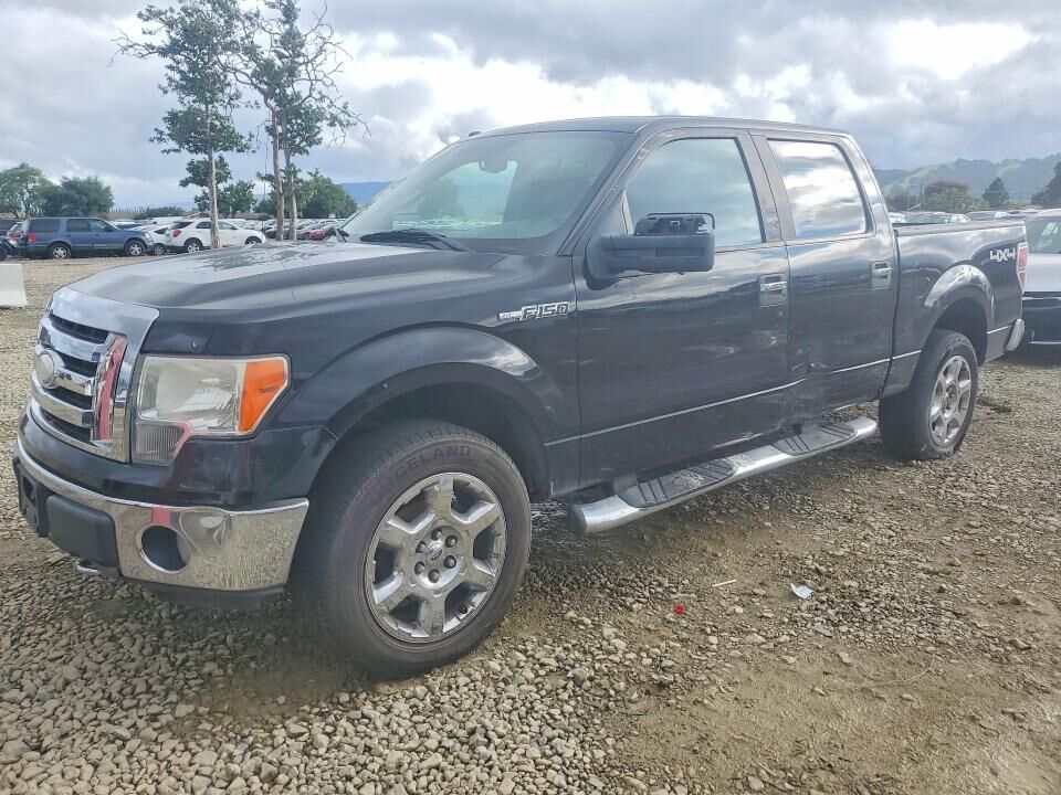 2009 FORD F-150