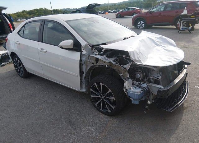 2019 TOYOTA Corolla