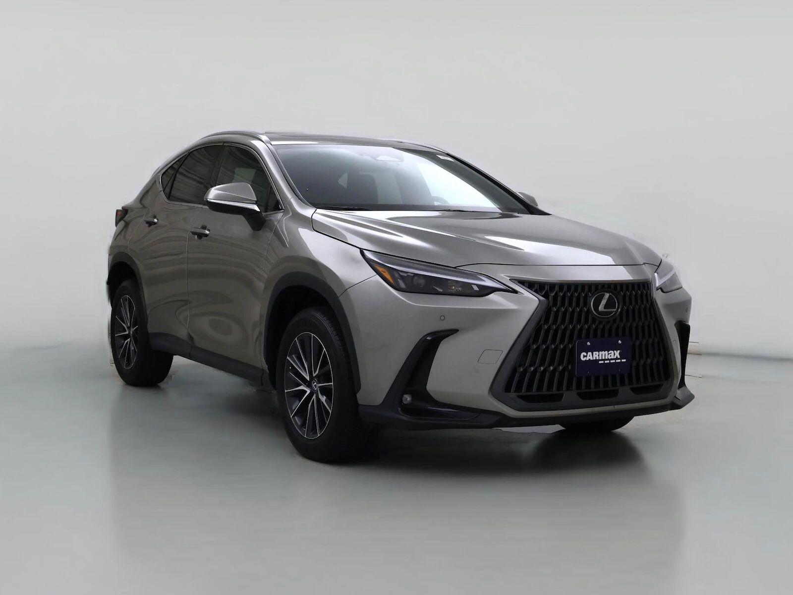 2024 LEXUS NX