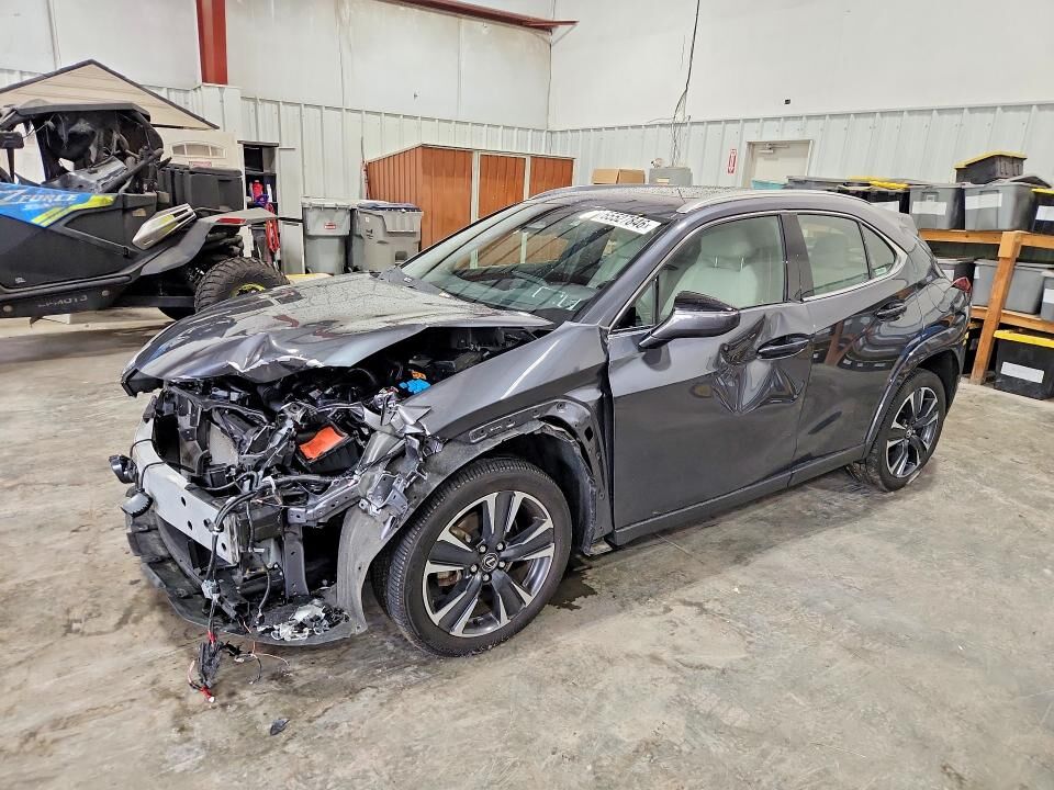2025 LEXUS UX