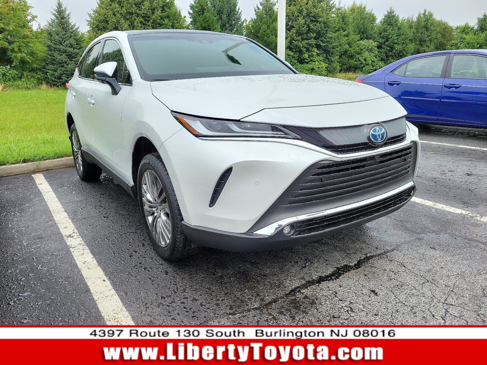 2023 TOYOTA Venza