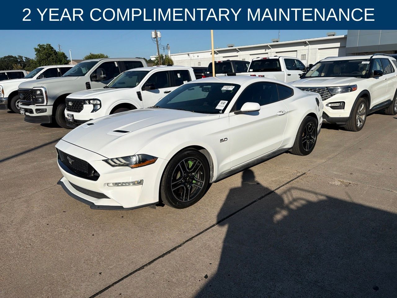 2019 FORD Mustang