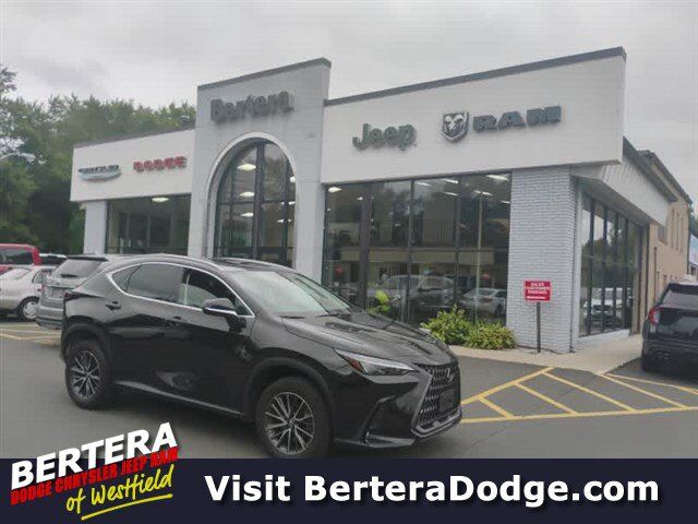 2022 LEXUS NX