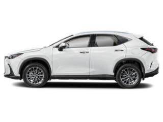 2026 LEXUS NX