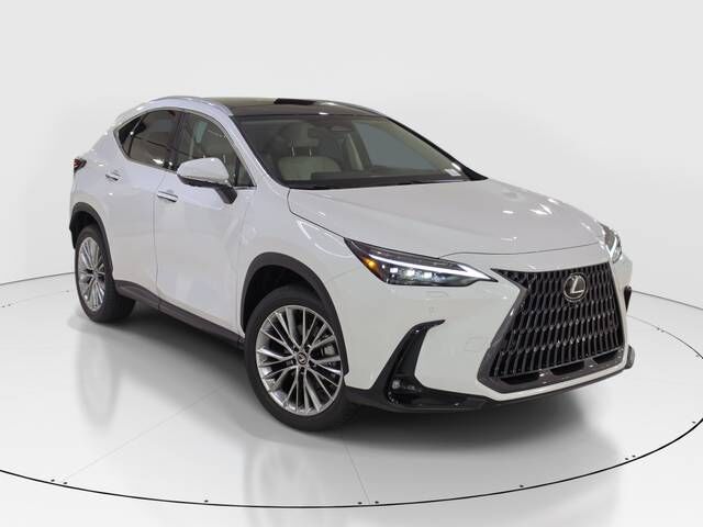 2026 LEXUS NX