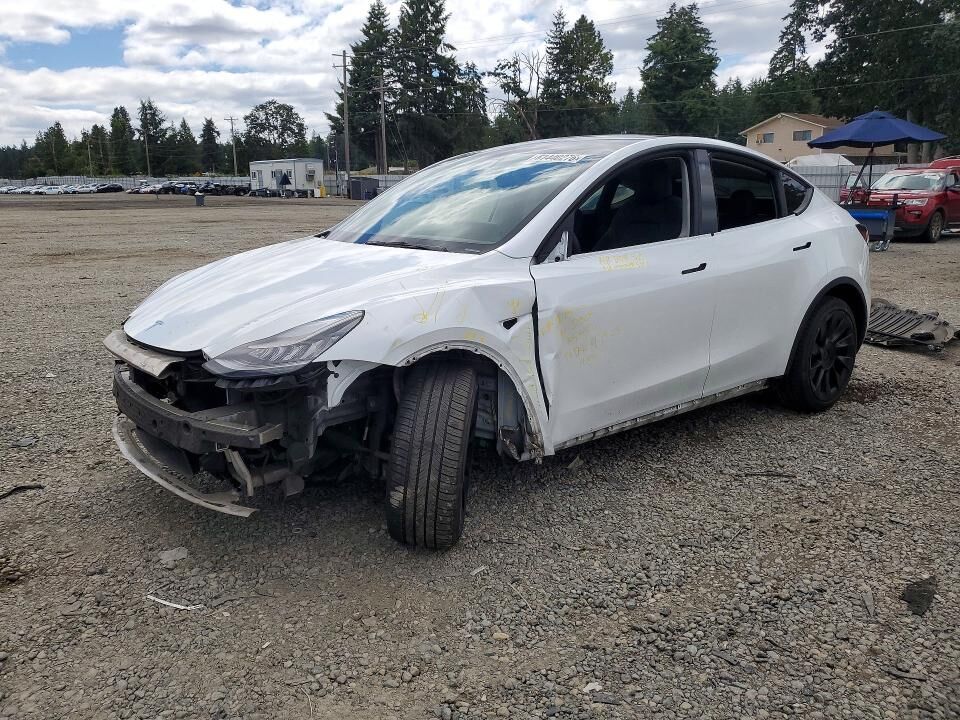 2021 TESLA Model Y