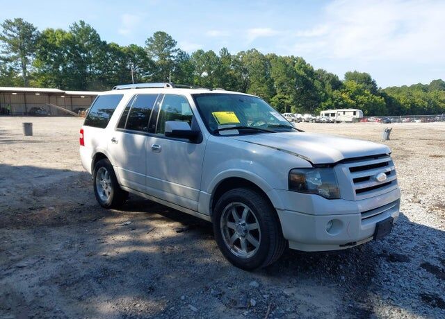 2010 FORD Expedition