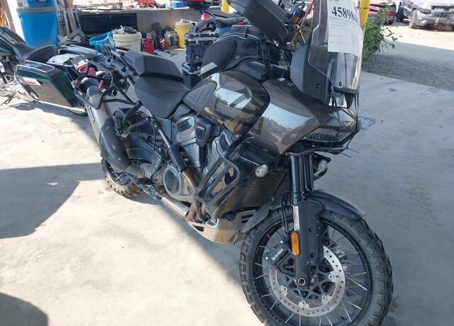 2023 HARLEY DAVIDSON RA1250 / Pan America