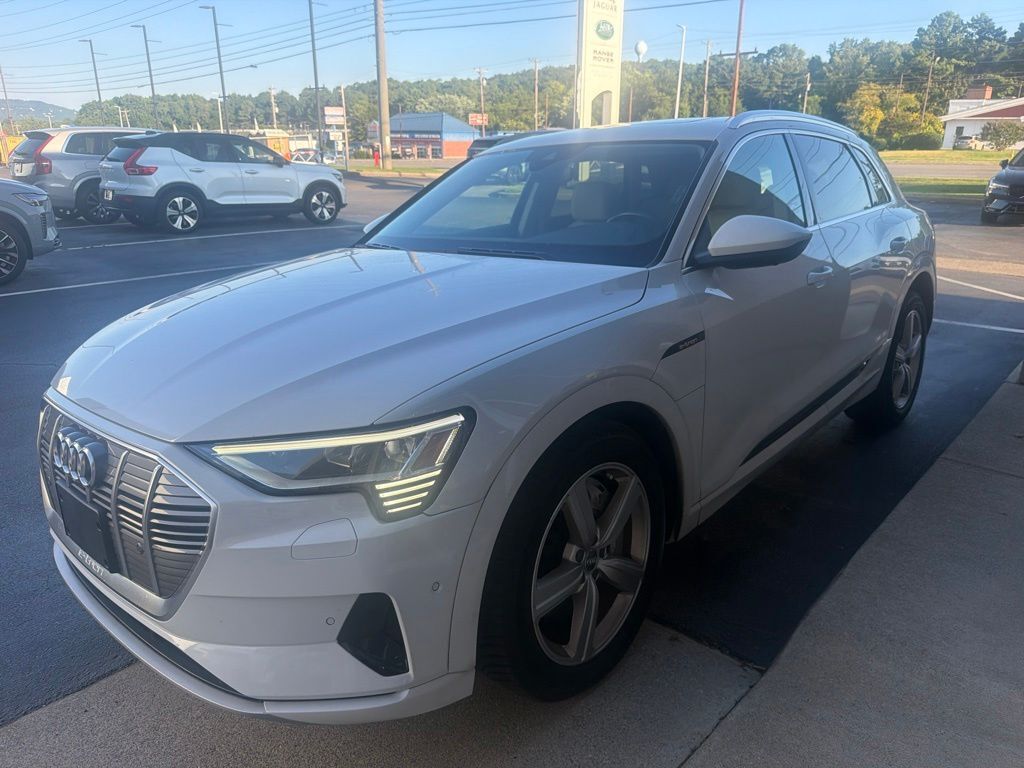 2019 AUDI e-tron