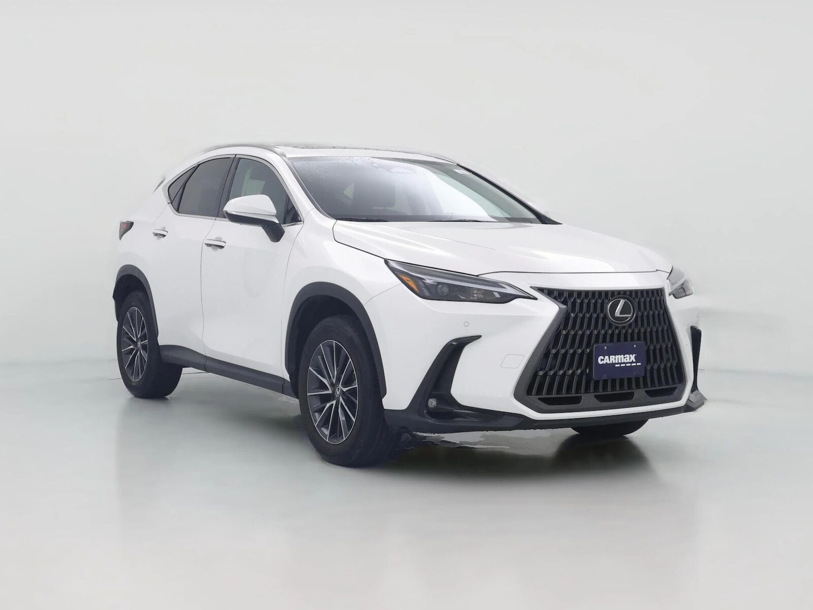 2025 LEXUS NX