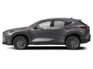 2024 LEXUS NX