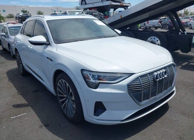 2019 AUDI e-tron