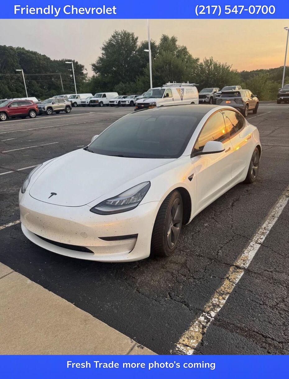 2019 TESLA Model 3