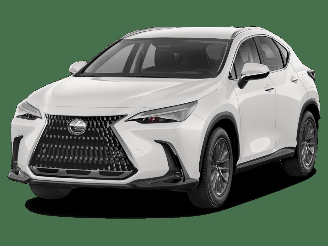 2024 LEXUS NX