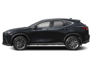 2024 LEXUS NX