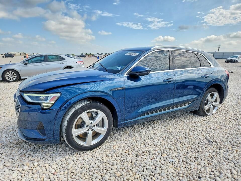 2019 AUDI e-tron