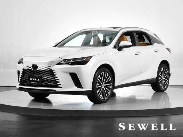 2024 LEXUS RX