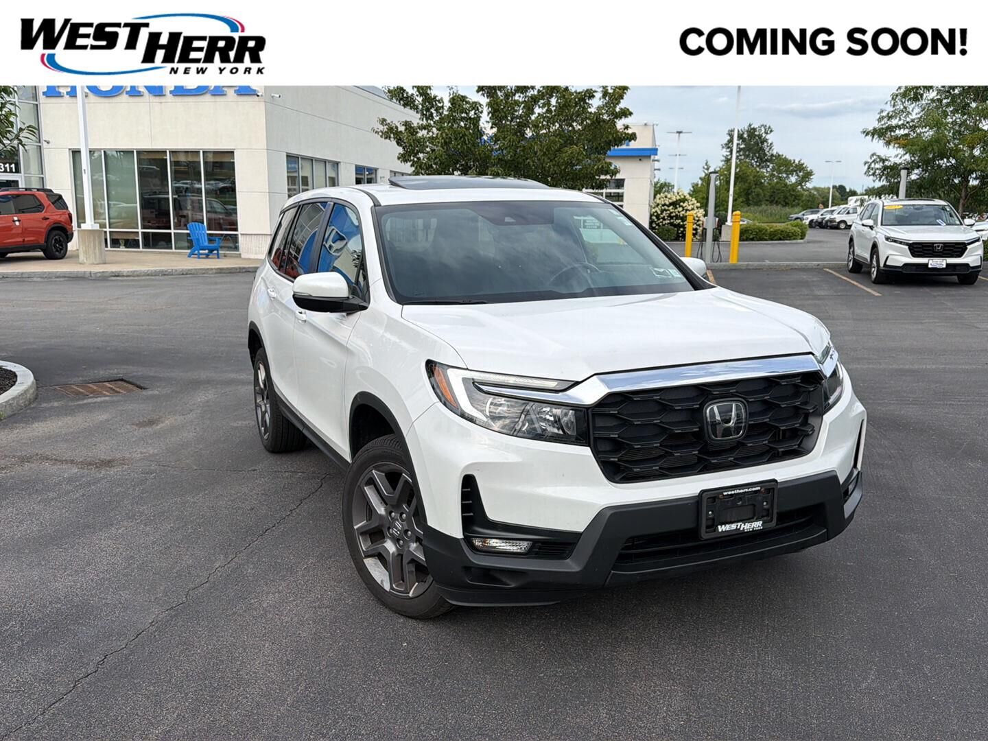 2023 HONDA Passport