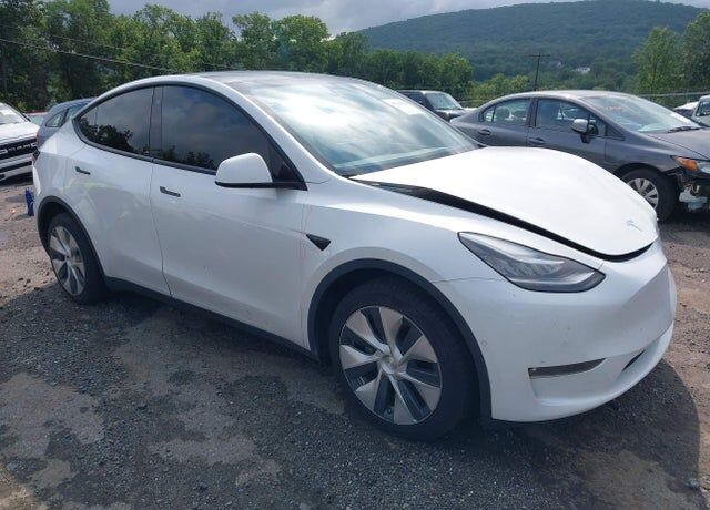 2021 TESLA Model Y