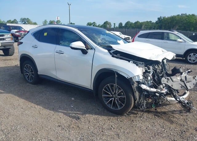 2024 LEXUS NX