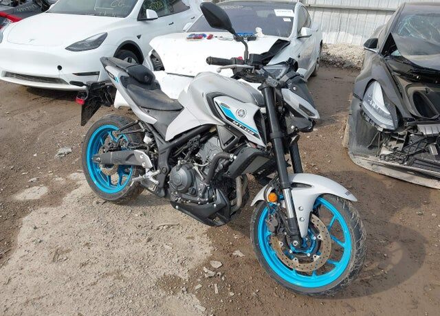 2025 YAMAHA MTN320