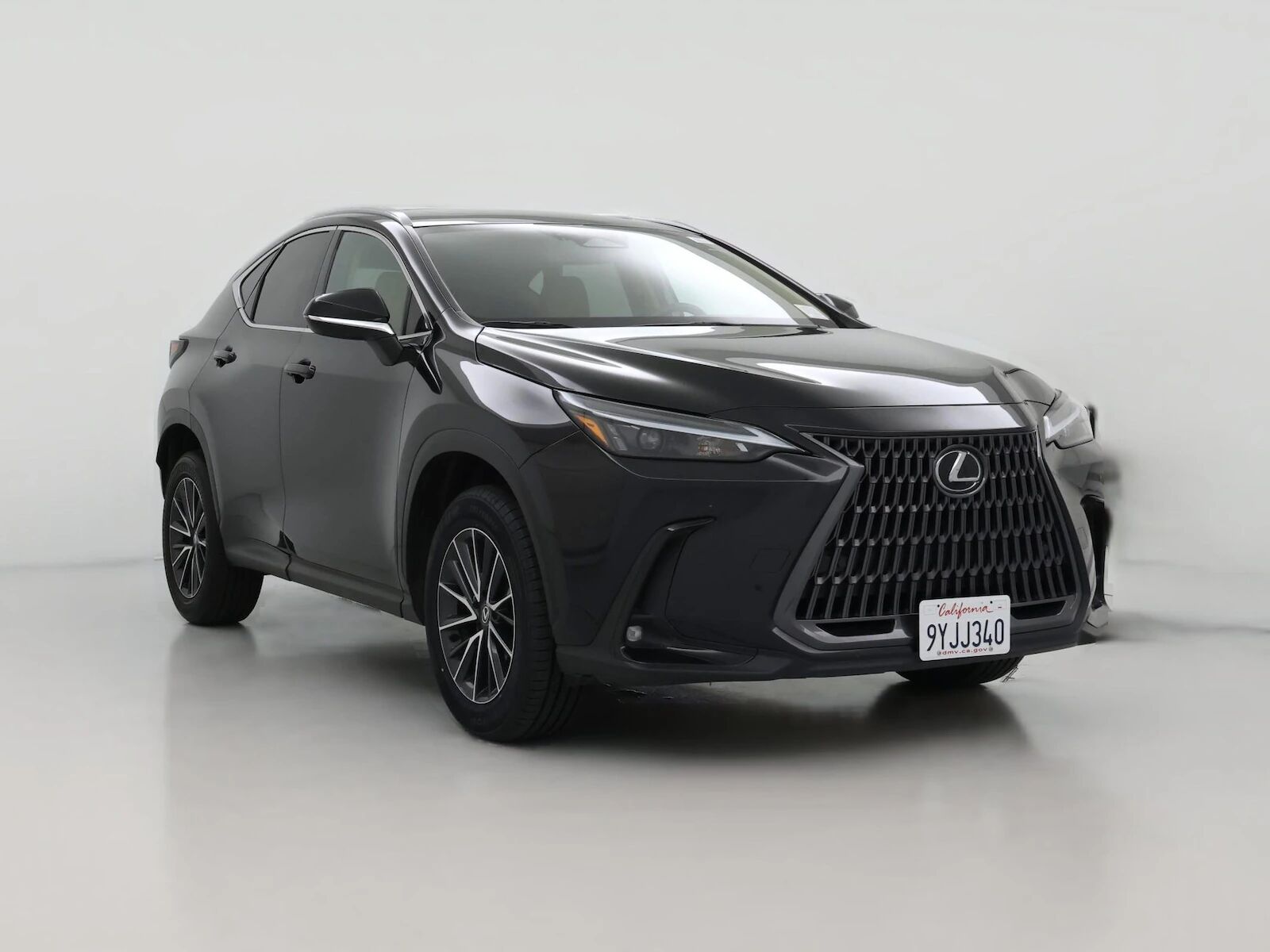 2024 LEXUS NX