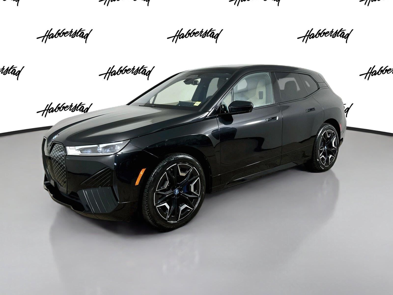 2024 BMW ix