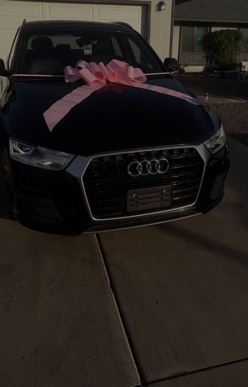 2017 AUDI Q3