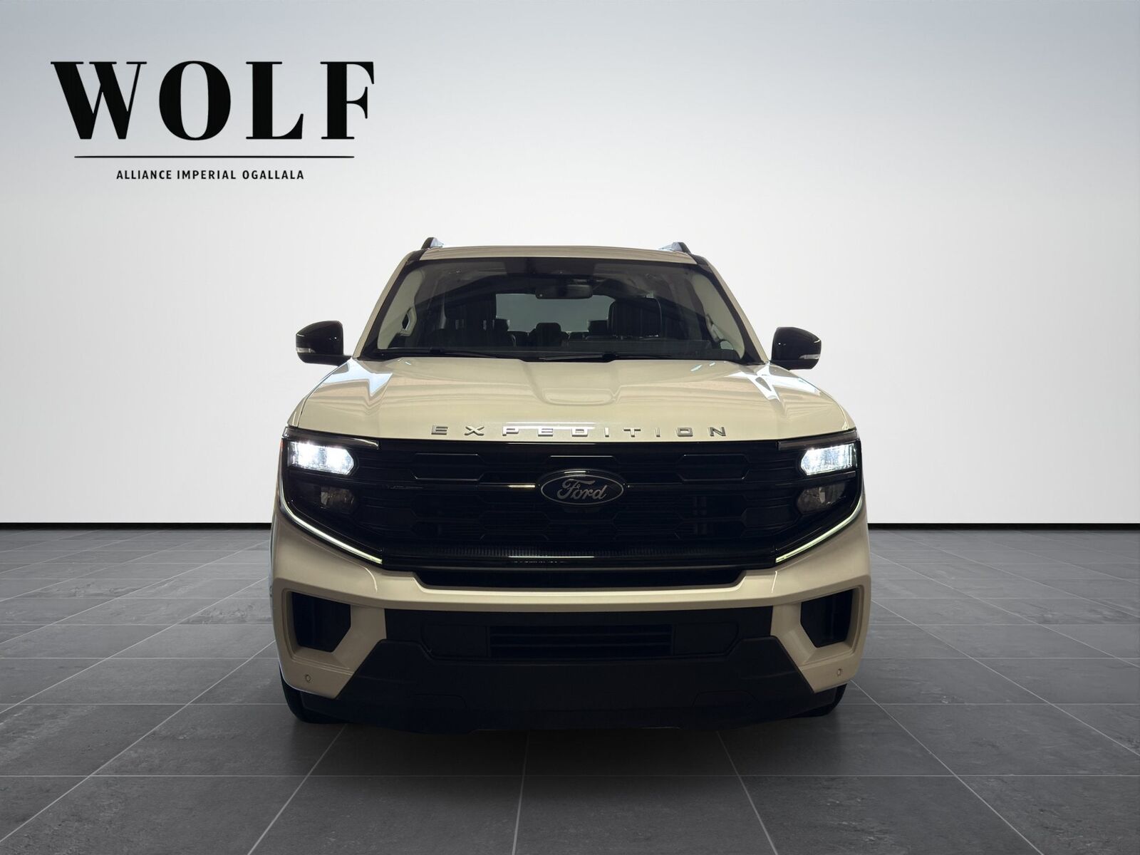 2025 FORD Expedition